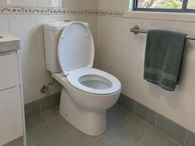 Clean white toilet in a tiled bathroom with towel rail and vanity in Fairlight